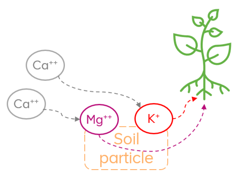 POLY4