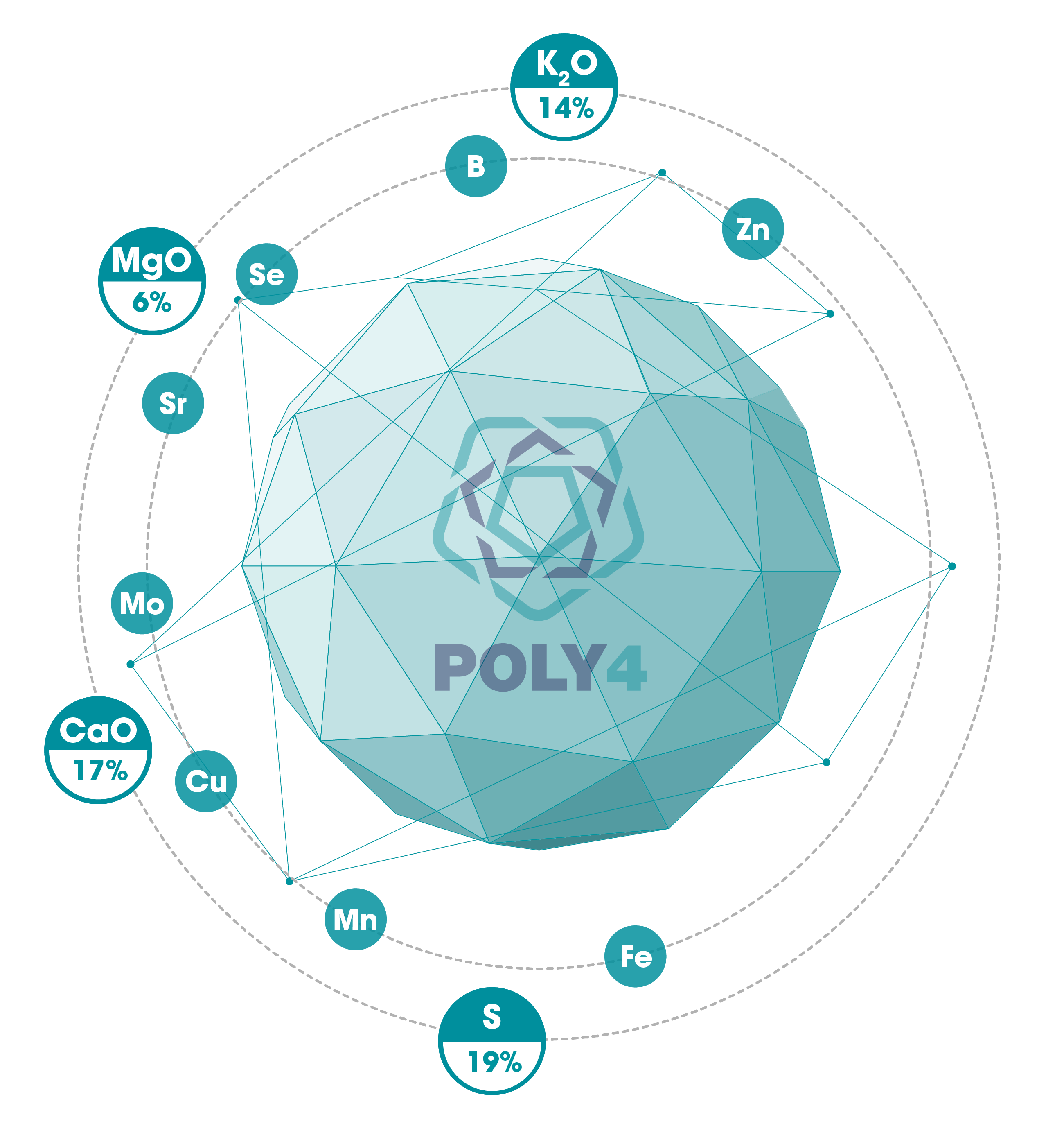 POLY4 Polyhalite Fertilizer Nutrients